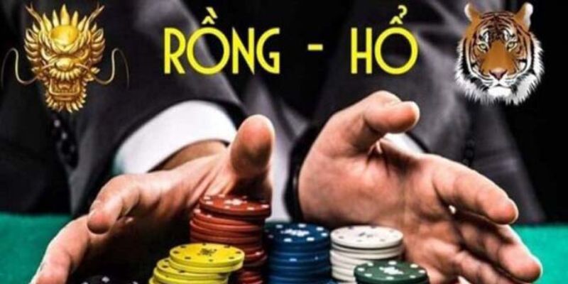 Quy tắc siêu dễ dàng của trò chơi Rồng Hổ trên sân chơi Kubet